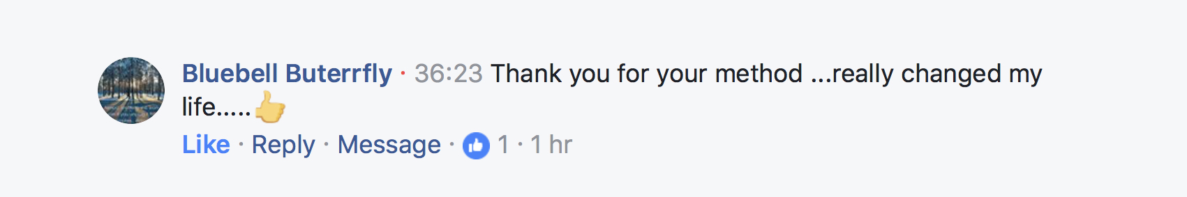 Client testimonial
